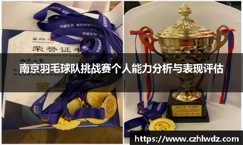 南京羽毛球队挑战赛个人能力分析与表现评估